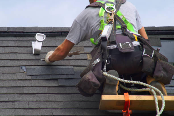 Best Roof Gutter Cleaning  in Winchester, KY