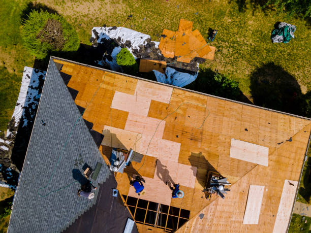 Best Roof Maintenance Services  in Winchester, KY
