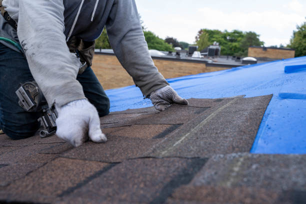 Best Gutter Installation and Roofing  in Winchester, KY